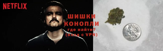 сатива Баксан