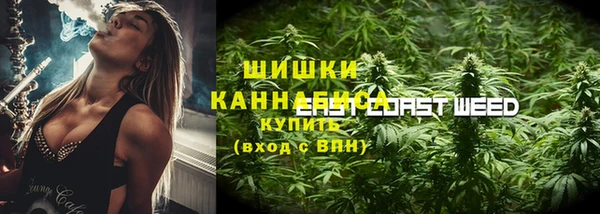 PSILOCYBIN Арсеньев