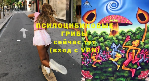 a pvp Аркадак