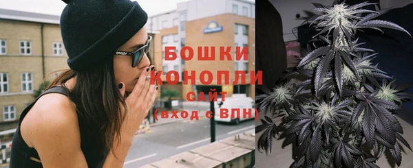 PSILOCYBIN Арсеньев