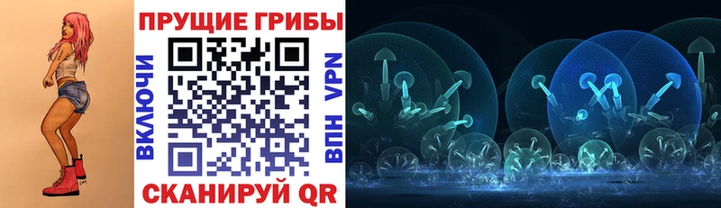 Купить закладки  Байкальск  Псилоцибиновые грибы мухоморы 